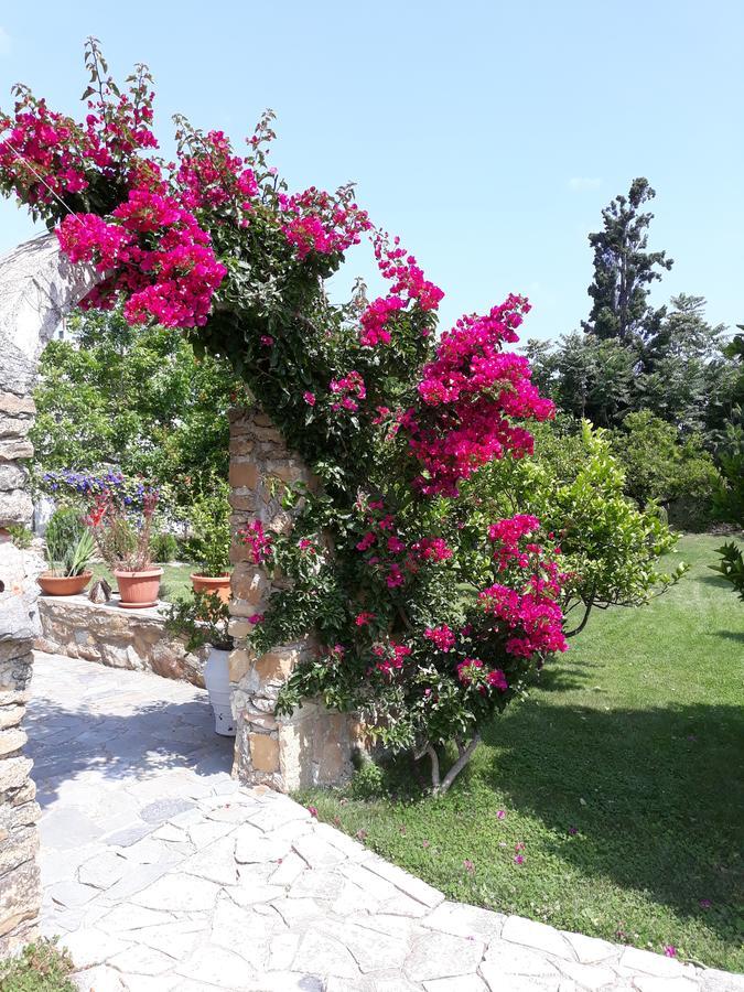 Garden Rooms Pirgos Psilonerou ภายนอก รูปภาพ